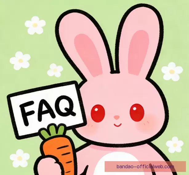 新手常见问题
